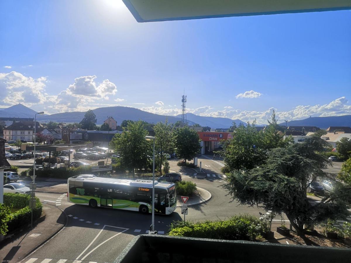 Bel Appartement, Grand Balcon Et Parking Prive Sélestat Dış mekan fotoğraf