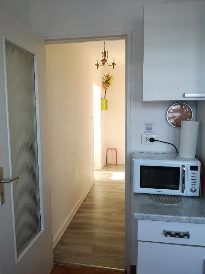 Bel Appartement, Grand Balcon Et Parking Prive Sélestat Dış mekan fotoğraf