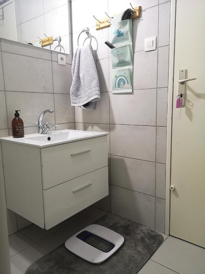 Bel Appartement, Grand Balcon Et Parking Prive Sélestat Dış mekan fotoğraf